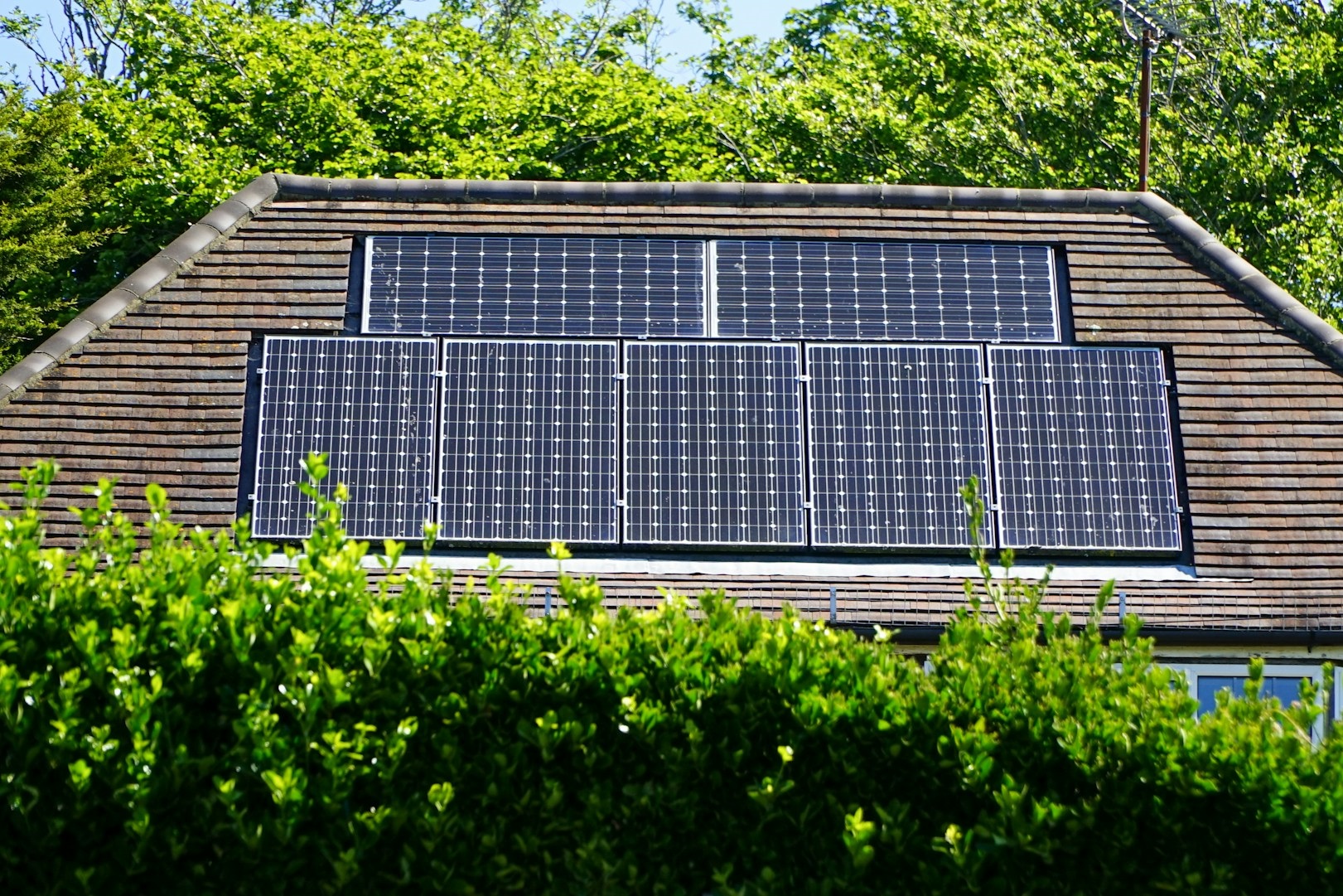 An Affordable Way to Harness the Sun: Solar Leasing